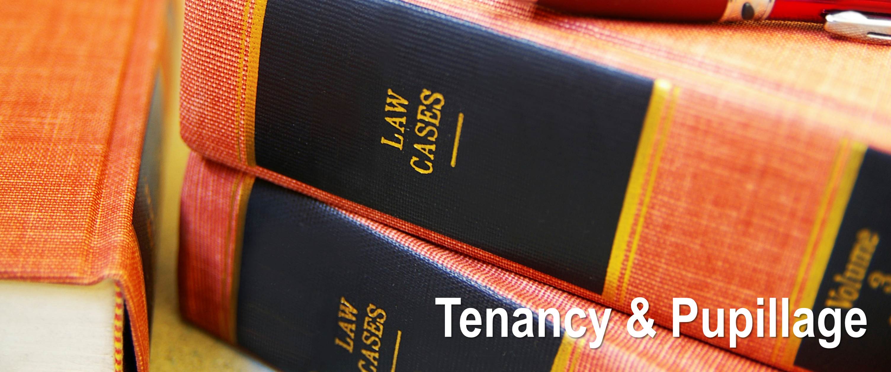 TenancyPupillage eng rev